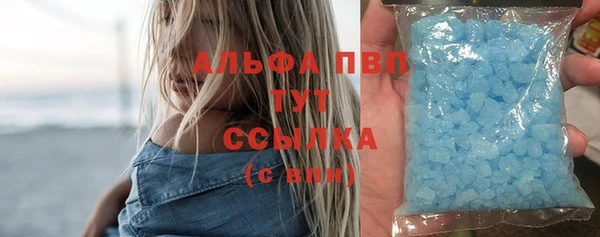 первитин Богданович