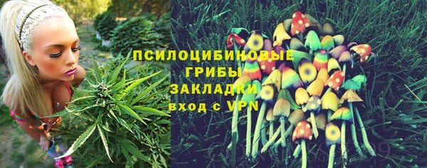 ALPHA PVP Богородск