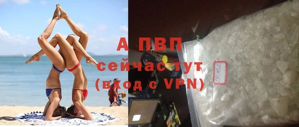 первитин Богданович