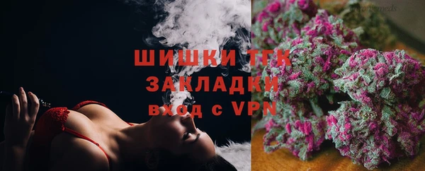 дмт Богородицк