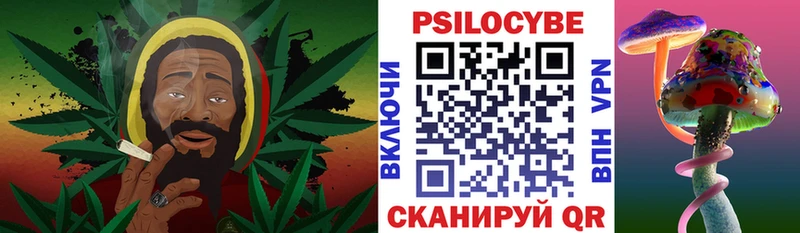 цена   Малая Вишера  Псилоцибиновые грибы мухоморы 